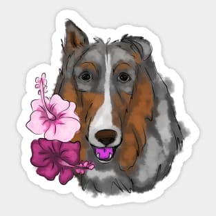 Rough collie with hibiscus flowers Sticker